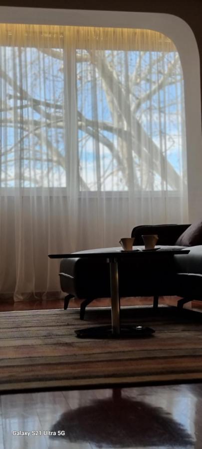 Rosewood Podgorica Apartment Bagian luar foto