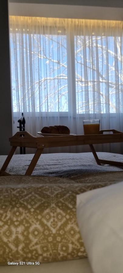 Rosewood Podgorica Apartment Bagian luar foto